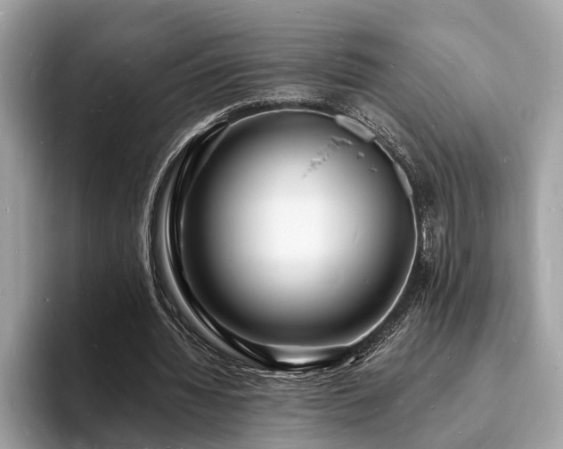 X0000093720436200710161101