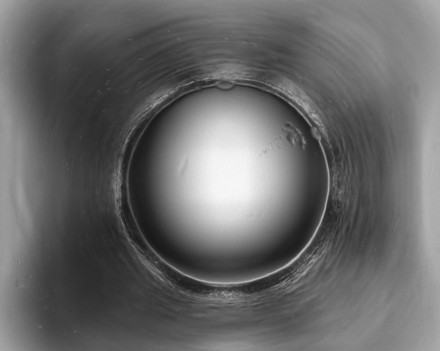 X0000093720437200710161101