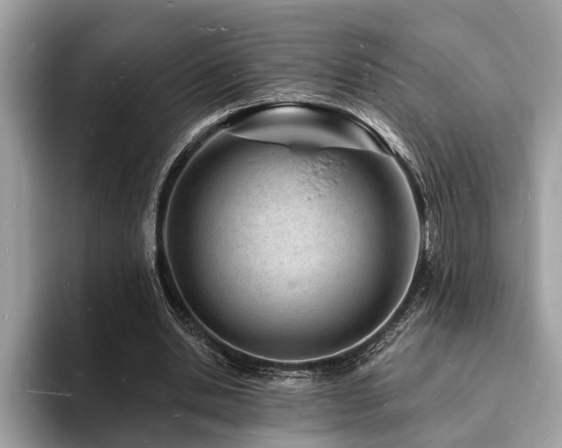 X0000093720438200710161101