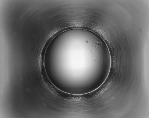 X0000093720439200710161101