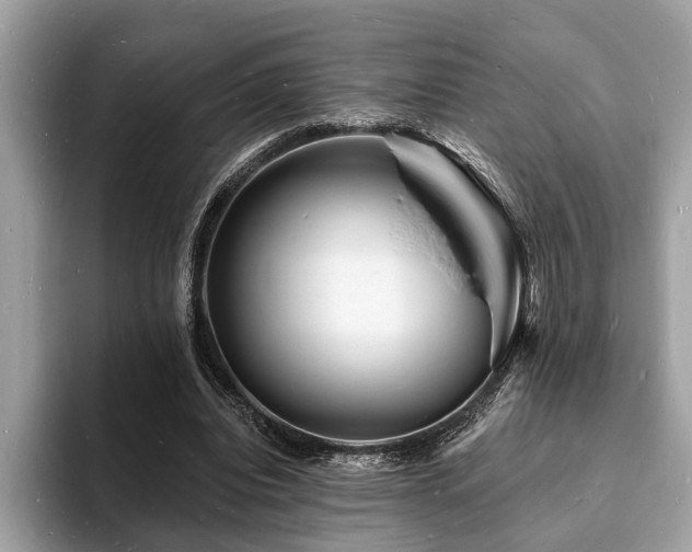 X0000093720440200710161101