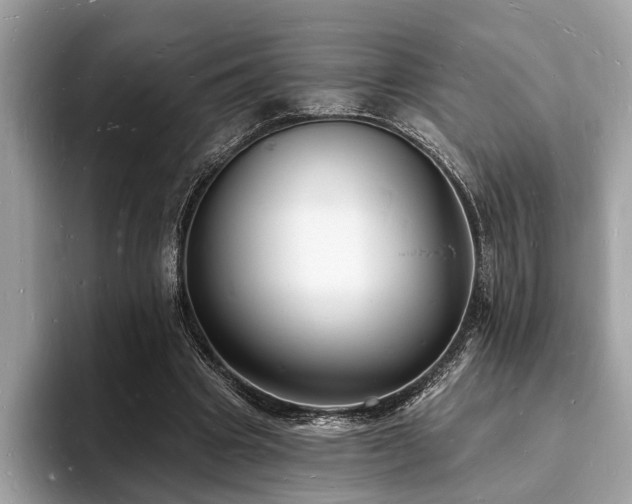 X0000093720441200710161101