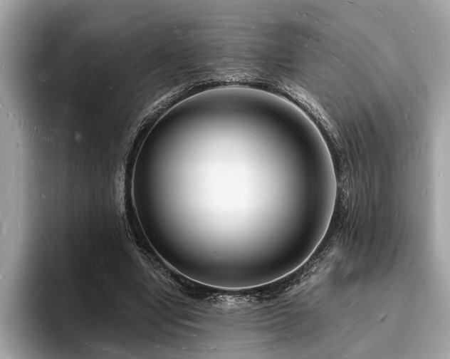 X0000093720442200710161101