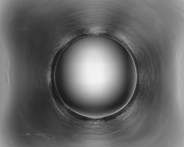 X0000093720443200710161101