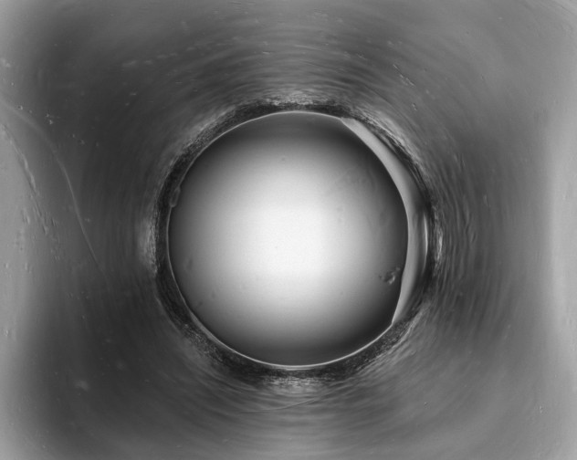 X0000093720444200710161101
