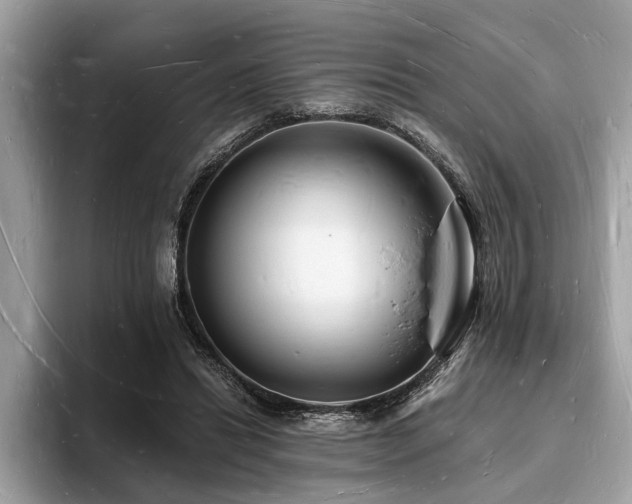 X0000093720446200710161101
