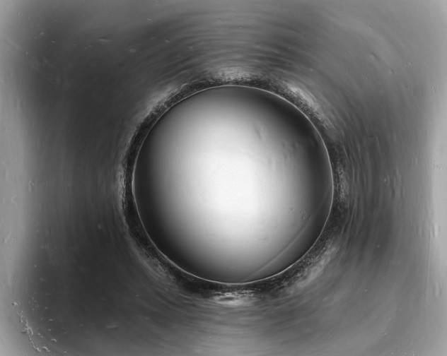 X0000093720447200710161101