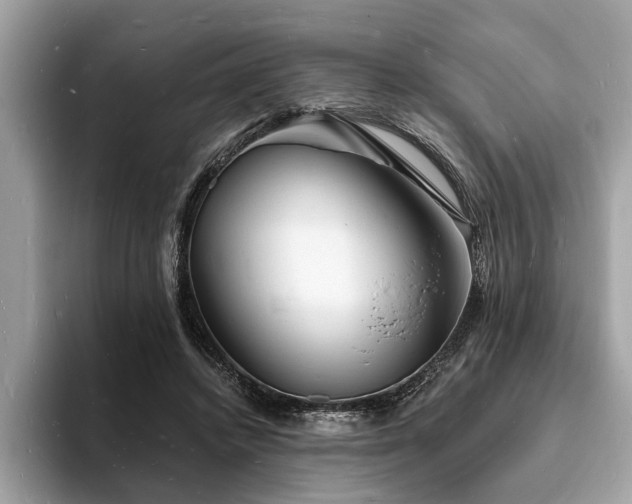 X0000093720448200710161101
