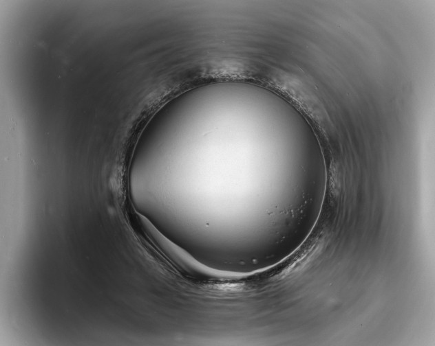 X0000093720449200710161101