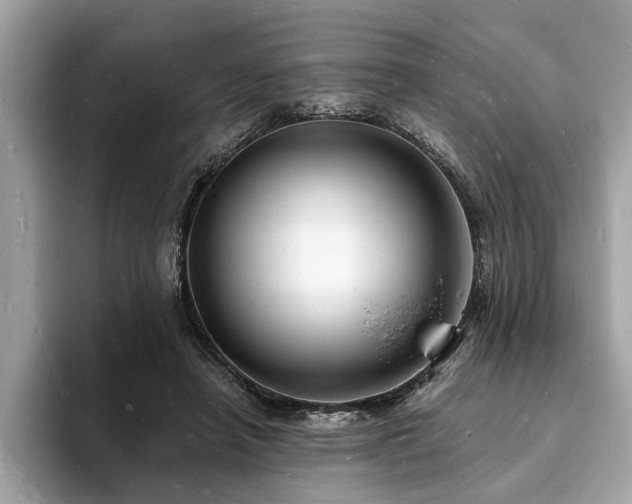 X0000093720450200710161101
