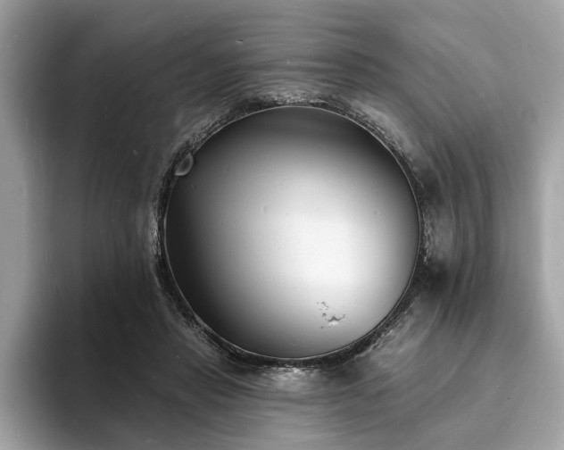 X0000093720453200710161101