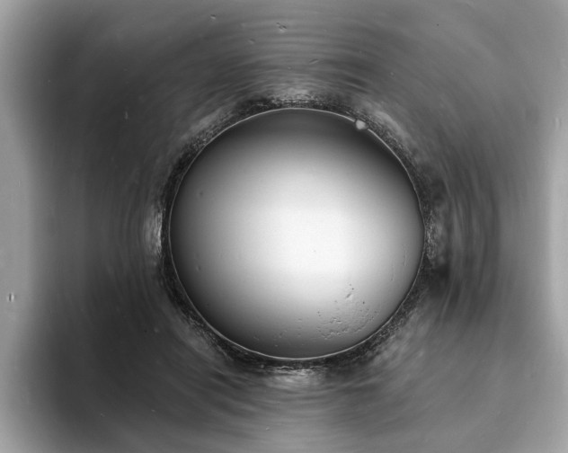 X0000093720454200710161101