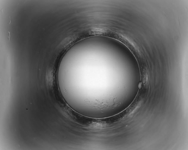X0000093720455200710161101
