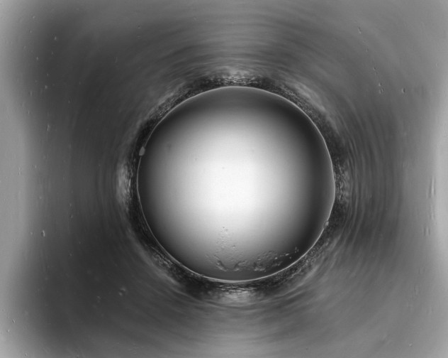 X0000093720456200710161101