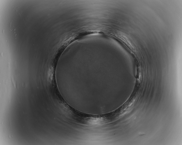 X0000093720458200710161101