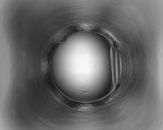 X0000093720459200710161101