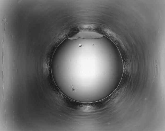 X0000093720460200710161101
