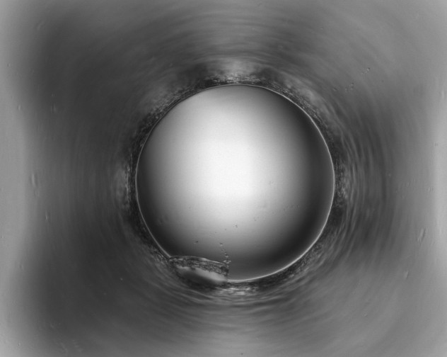 X0000093720461200710161101
