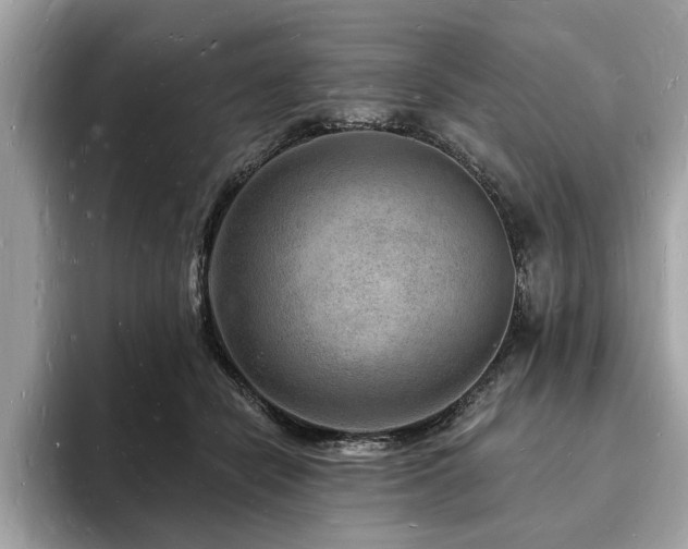 X0000093720462200710161101