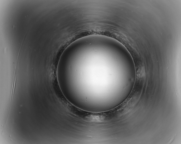X0000093720464200710161101