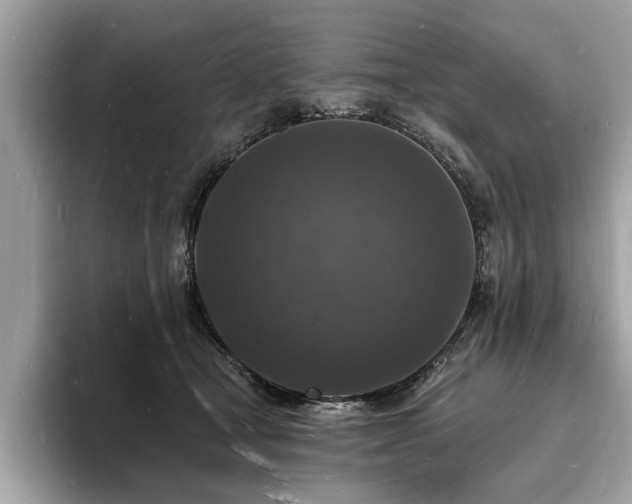 X0000093720465200710161101