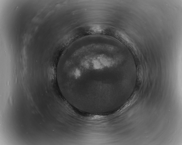 X0000093720467200710161101