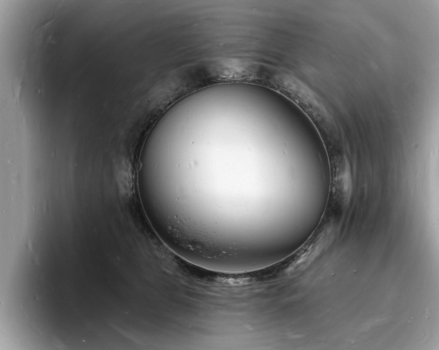 X0000093720469200710161101