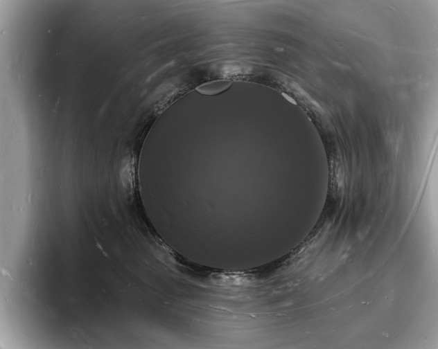 X0000093720475200710161101