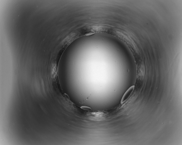 X0000093720478200710161101