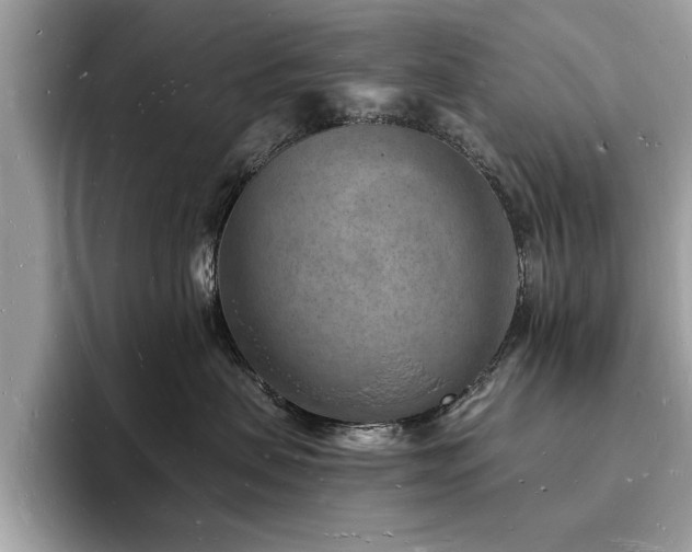 X0000093720479200710161101