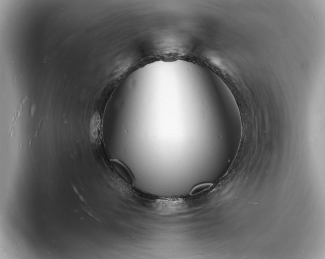 X0000093720480200710161102