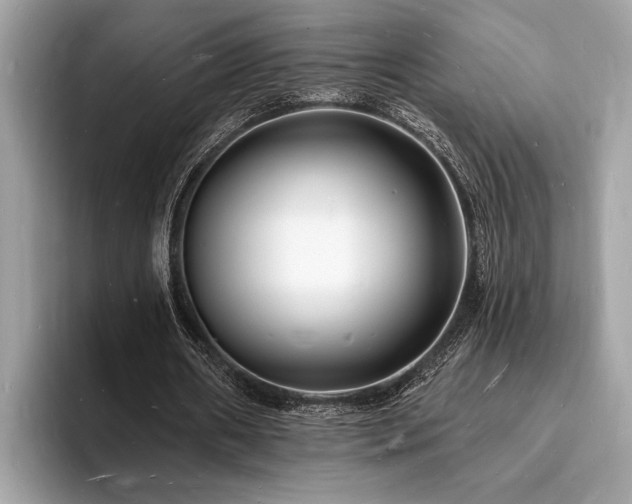 X0000093720482200710161101
