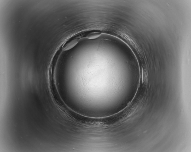 X0000093720483200710161101