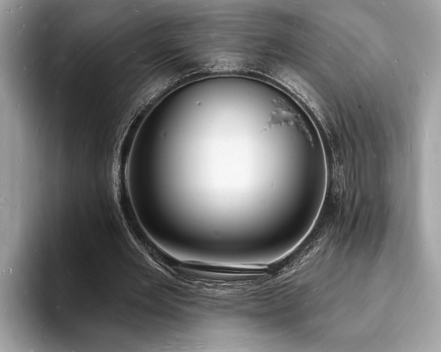 X0000093720485200710161101