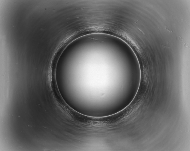 X0000093720486200710161101