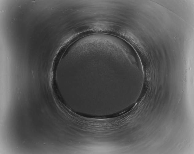 X0000093720488200710161101