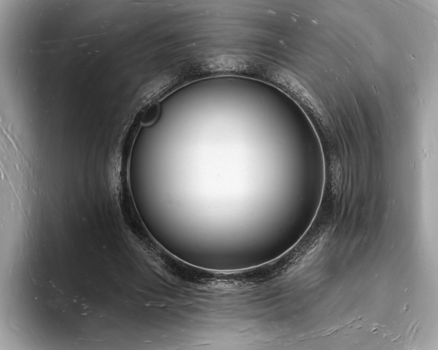 X0000093720490200710161101