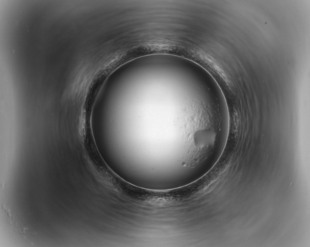 X0000093720494200710161101