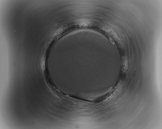 X0000093720496200710161101