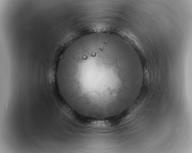 X0000093720499200710161101