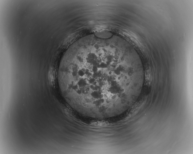 X0000093720503200710161101