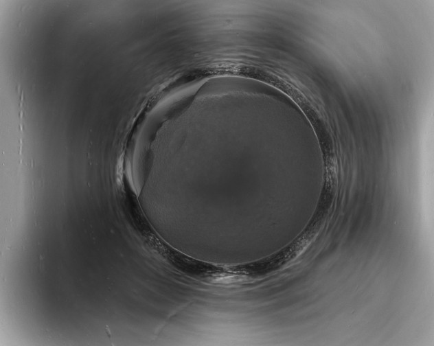 X0000093720504200710161101