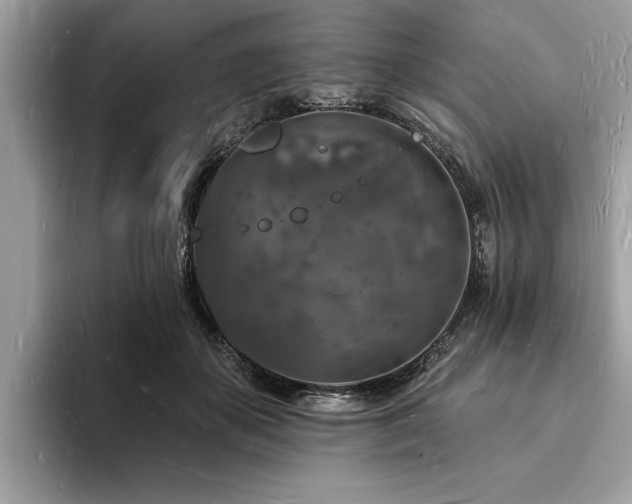 X0000093720507200710161101
