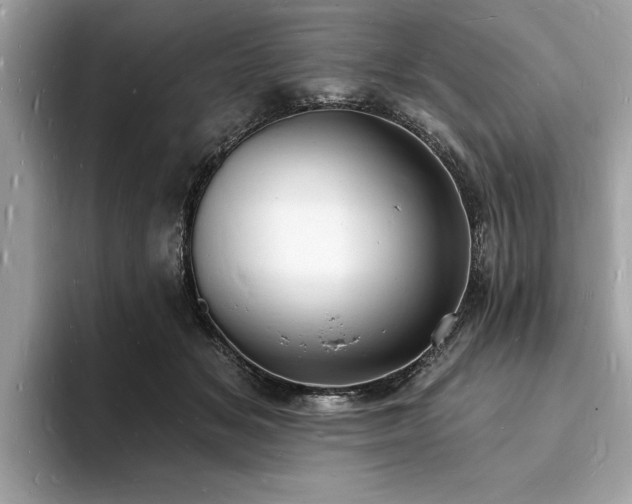 X0000093720509200710161101
