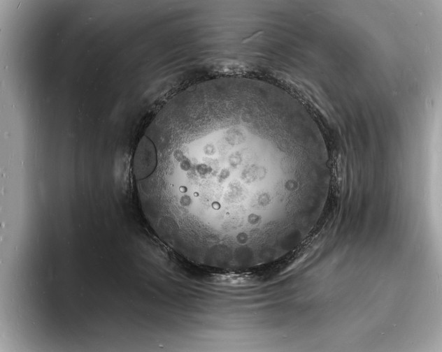 X0000093720511200710161101