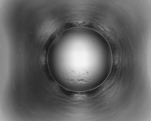 X0000093720515200710161101