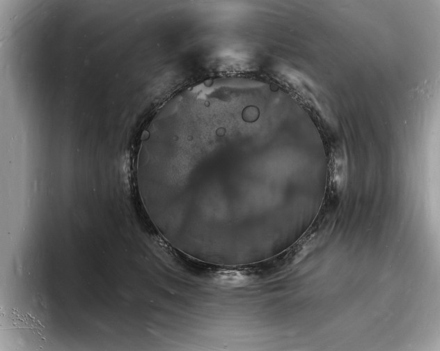 X0000093720519200710161100