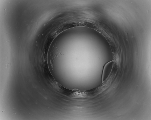 X0000093720526200710161100