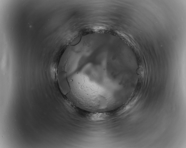 X0000093720527200710161100
