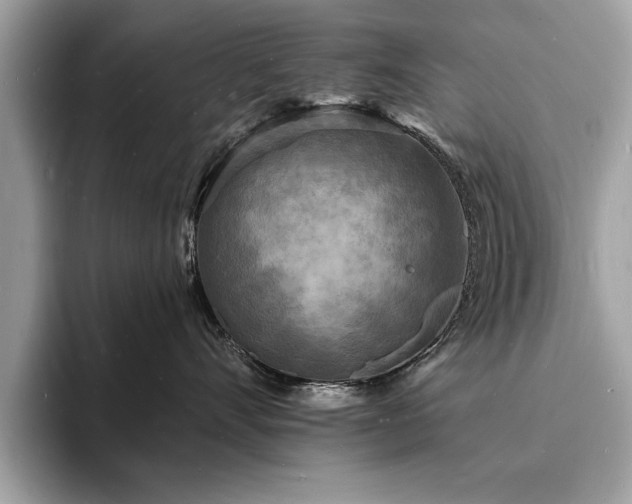 X0000093720528200710161100